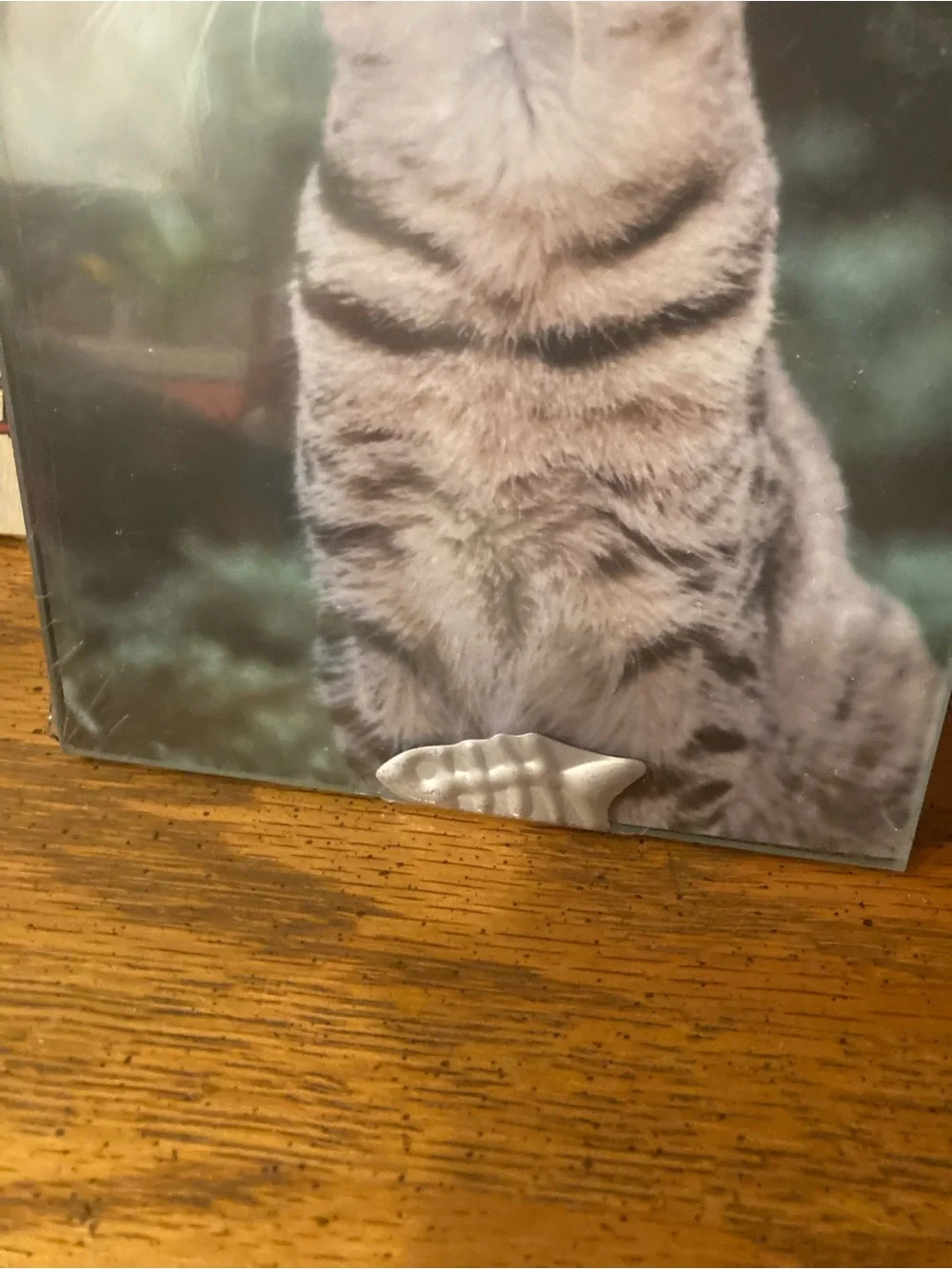 Picture Frame “My Cat” 5” x 7” Desktop